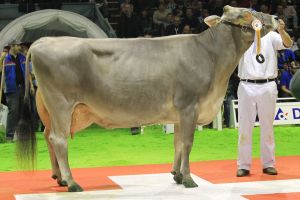 Bruna12 253